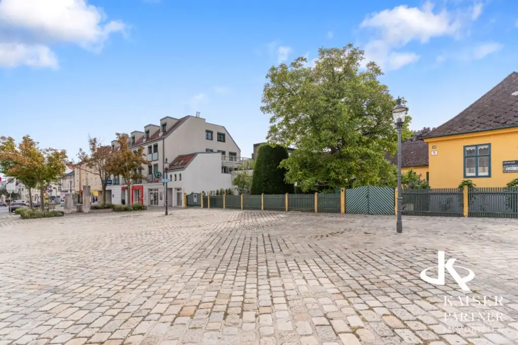 Elegante Villa in Mauer, Nähe Maurer Hauptplatz, Garten, Terrasse & Grünblick!