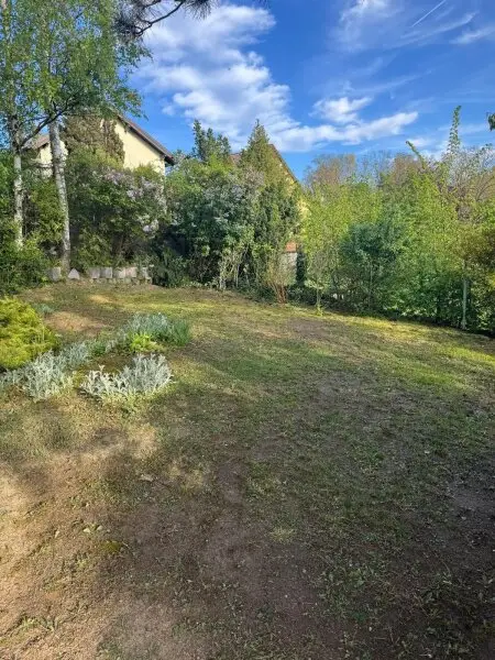 Neues, geräumiges Einfamilienhaus mit Garten in ruhiger Wohnsiedlung nahe Mistelbach (!) 2-Generation-Wohnhauseignung (!)