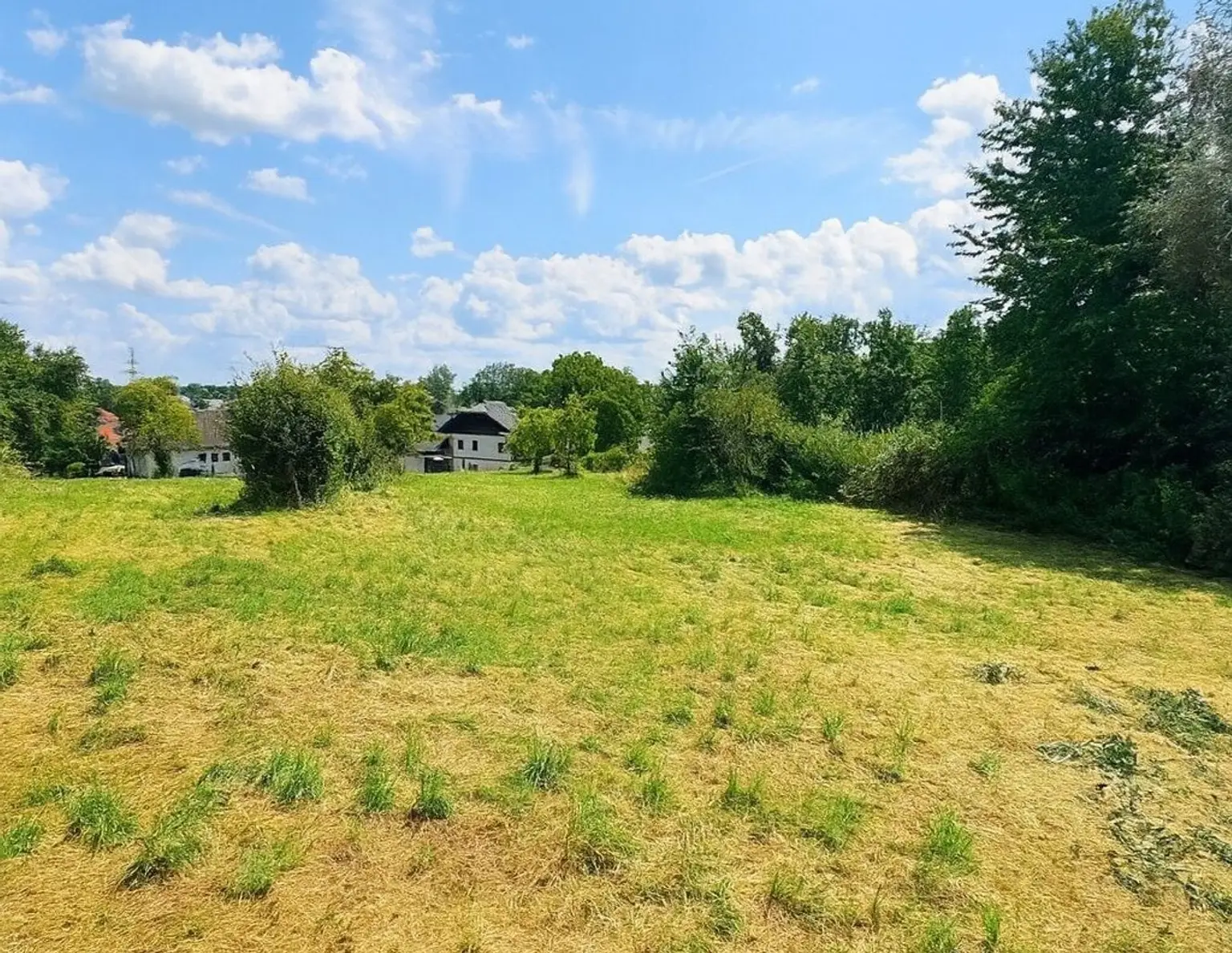 Neuer Preis! - Wilder Charme - ein sonniges Grundstück voller Potential!