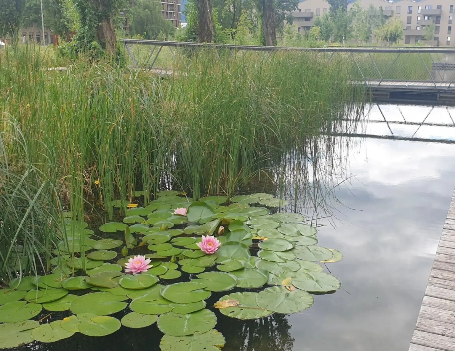 Charmante, komfortable 2 - Zimmerwohnung im Reininghaus Park
