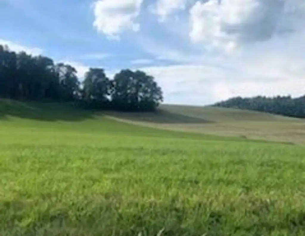 Fünf traumhafte, vollaufgeschlossene Grundstücke mit einem umwerfenden Panoramablick in Latschach am Magdalensberg