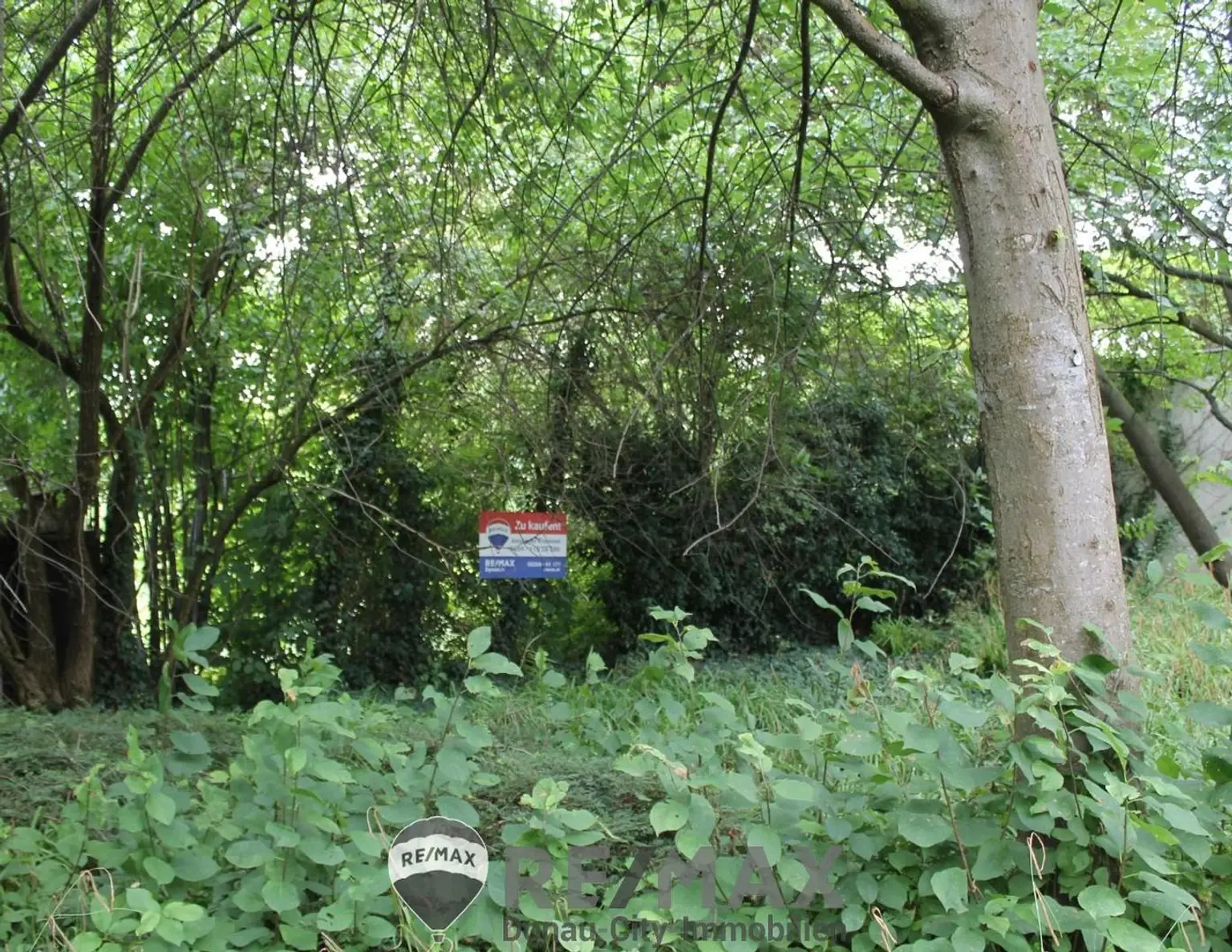 "!!!Baugrund visavis vom Stadtpark!!!"
