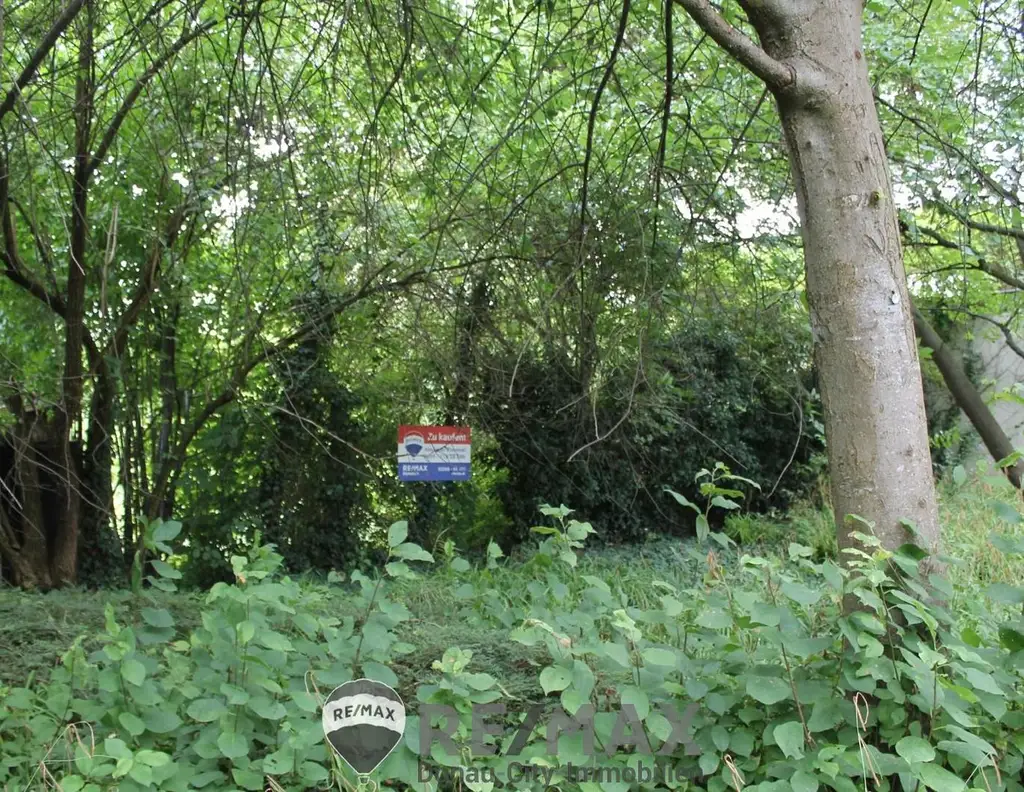 "!!!Baugrund visavis vom Stadtpark!!!"