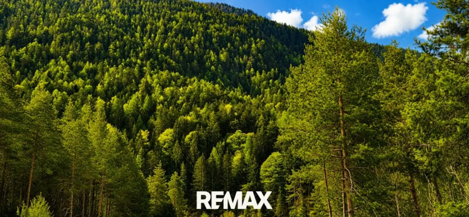 Wald