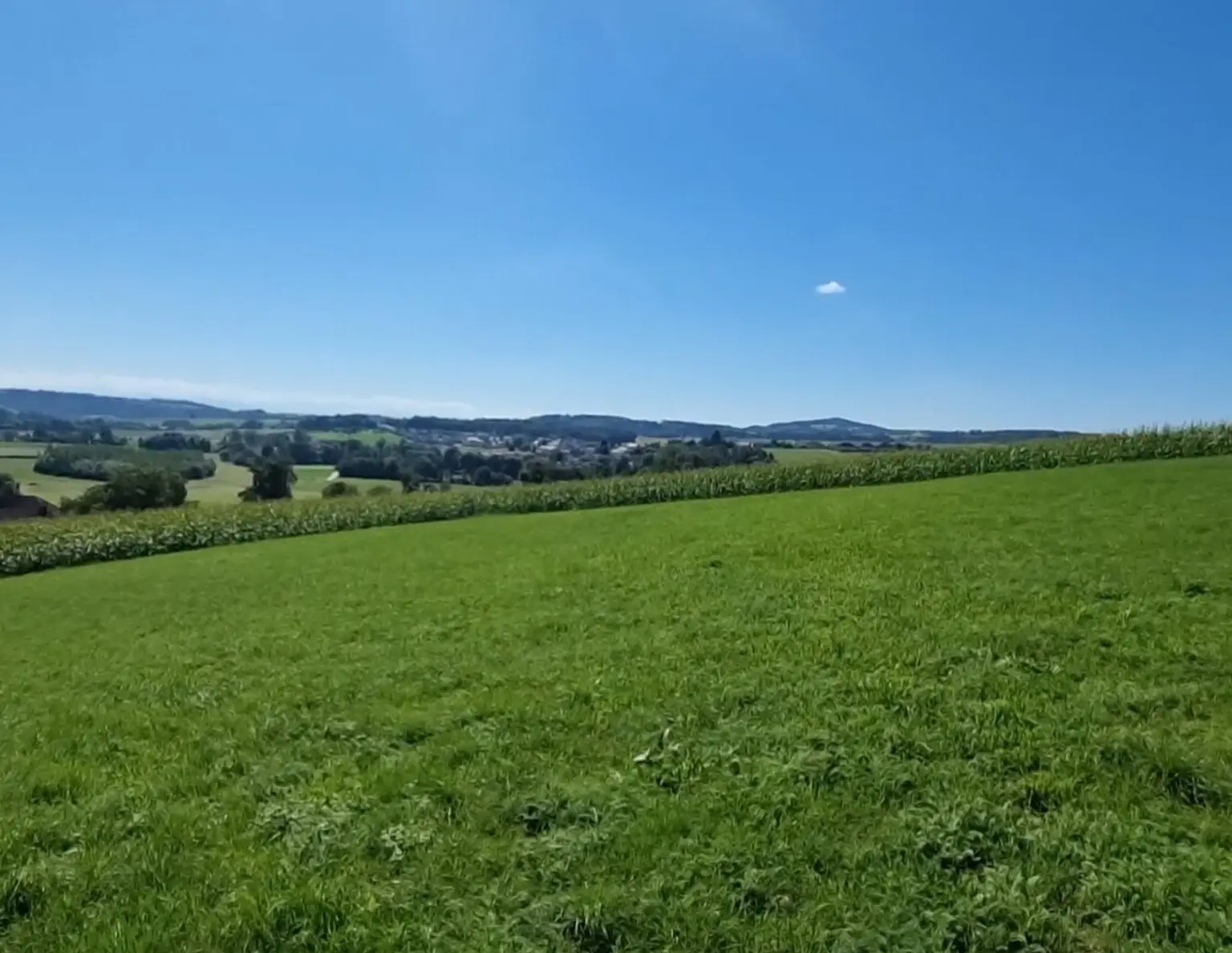 Traumimmobilie mit Fernblick und Grünblick in Bodendorf, OÖ - 903m² Landwirtschaft!