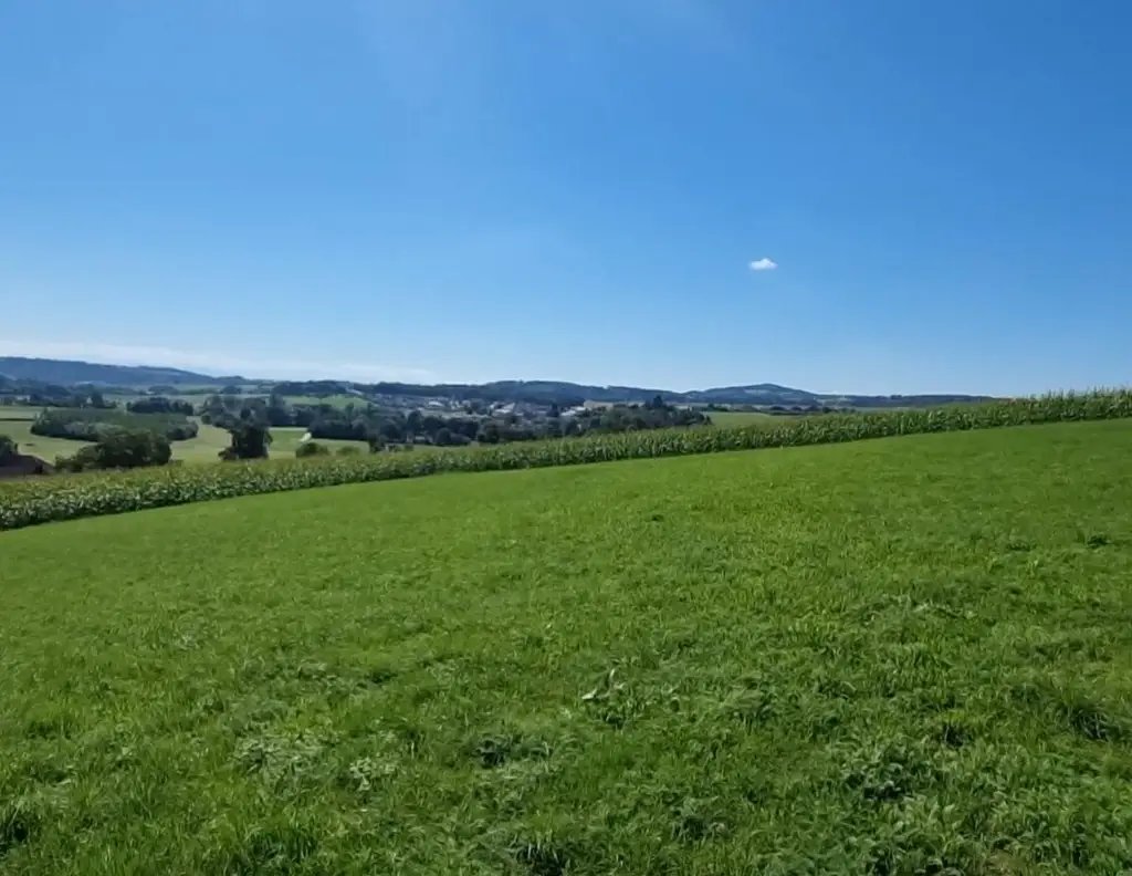Traumimmobilie mit Fernblick und Grünblick in Bodendorf, OÖ - 903m² Landwirtschaft!