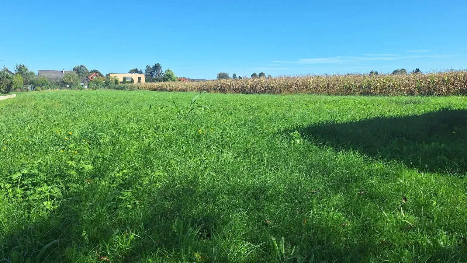 "Sonnige Bauplätze an der Südsteirischen Weinstraße – Wo das Leben schmeckt"