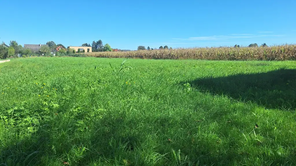 "Sonnige Bauplätze an der Südsteirischen Weinstraße – Wo das Leben schmeckt"
