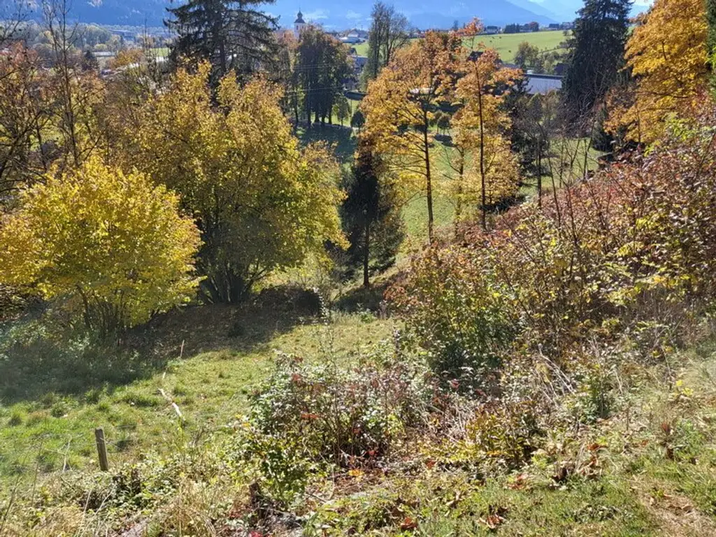 Renaissance-Schloss auf 15 ha Grund – seltene Gelegenheit für touristische Nutzung oder Family Office