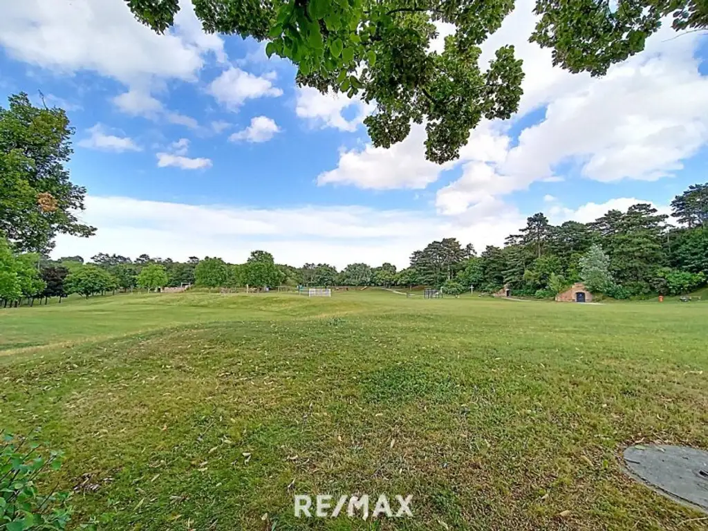 Panoramablick beim Park - großzügige 3-Zimmer Wohnung in Bestlage:  grün, ruhig, hell!