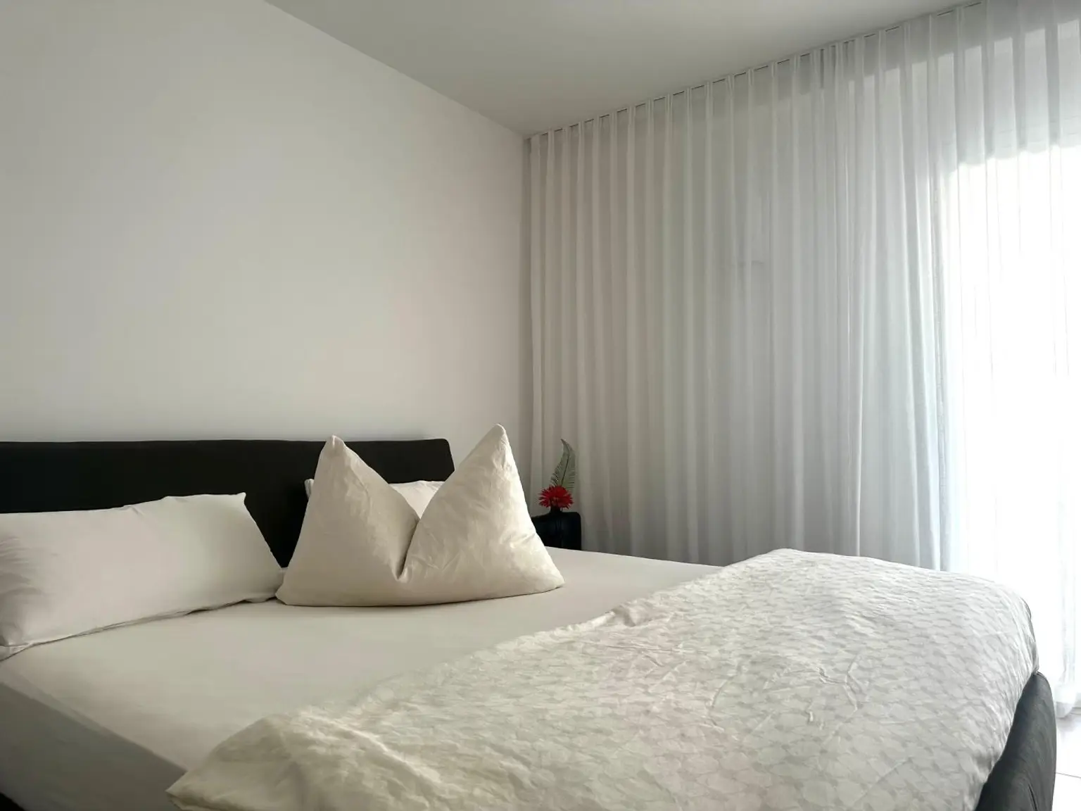 La Joya - Los Corales