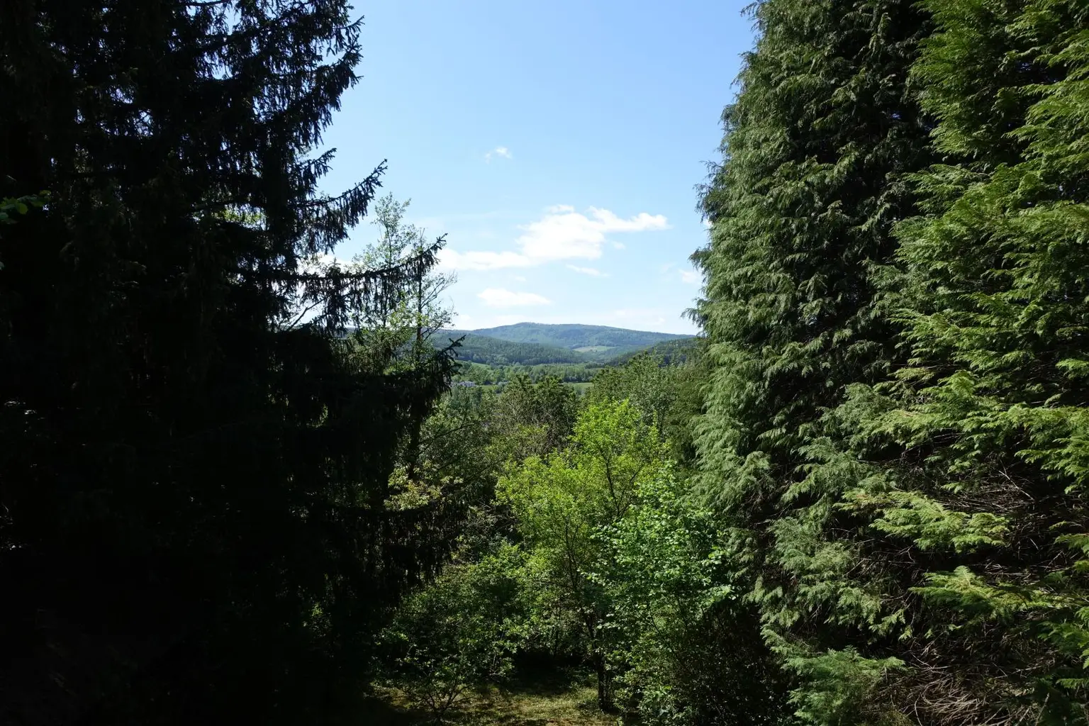 Aussicht vom Haus
