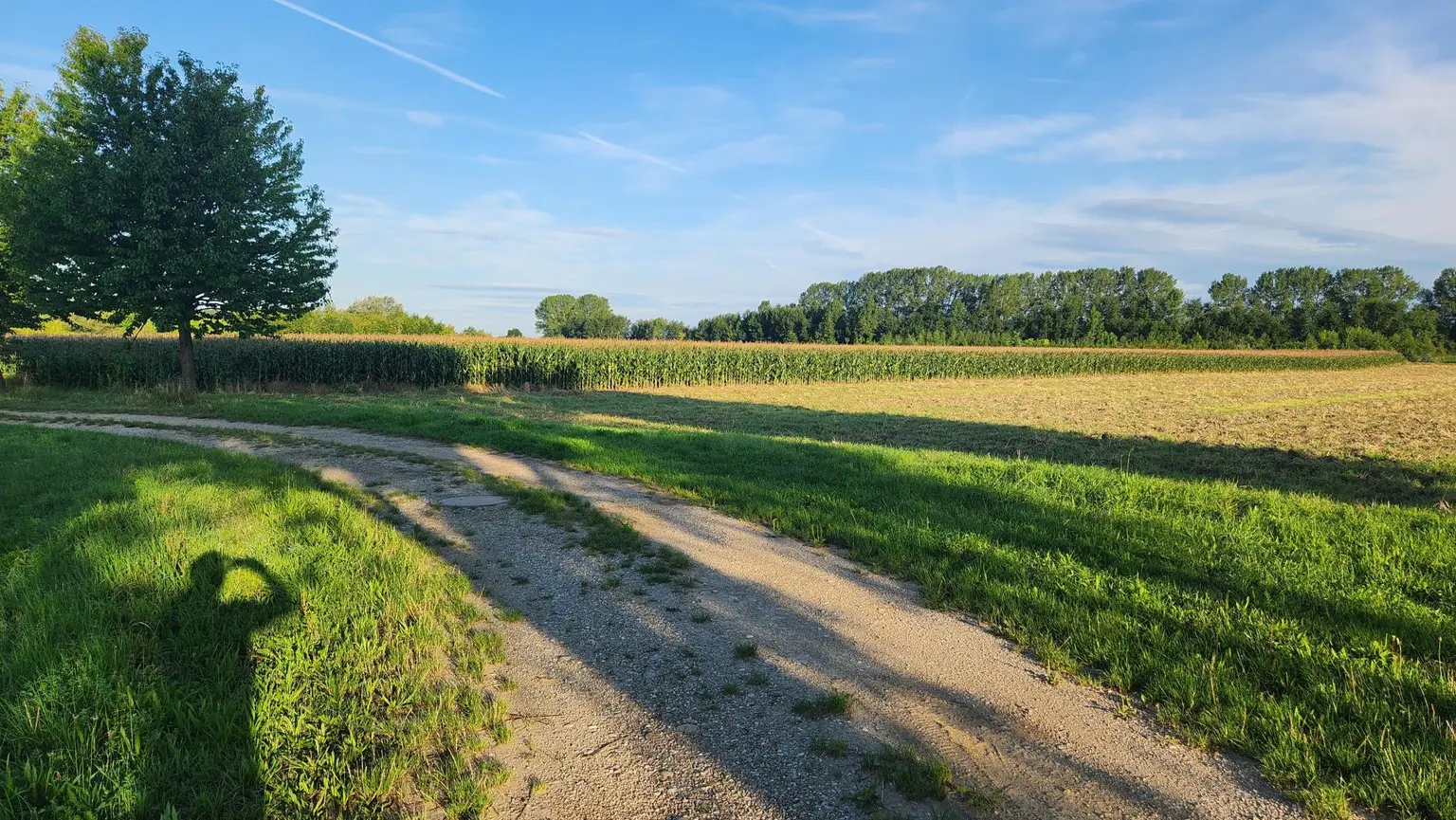 EINE SELTENE GELEGENHEIT AUF EINE KLEINE ACKERFLÄCHE IN FREUNDORF - ZUSAMMENHÄNGENDE LANDWIRTSCHAFTLICHE FLÄCHE