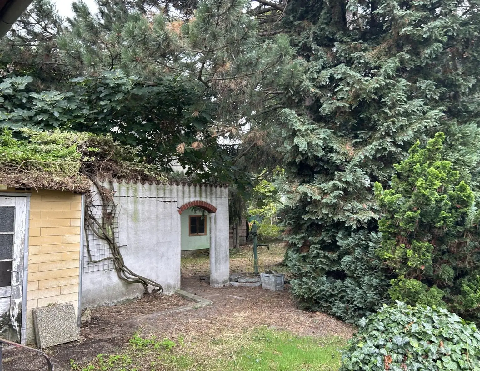 Exklusives Grundstück in Langenzersdorf mit Altbestand