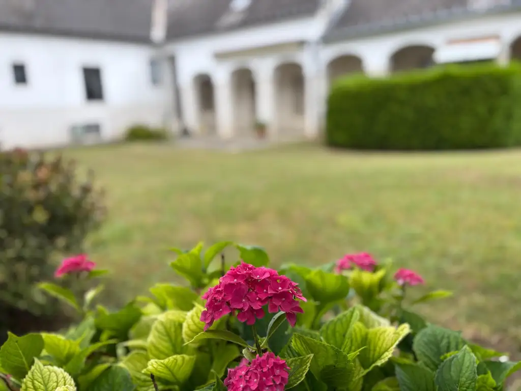 Tolles Einfamilienhaus mit großem Grundstück