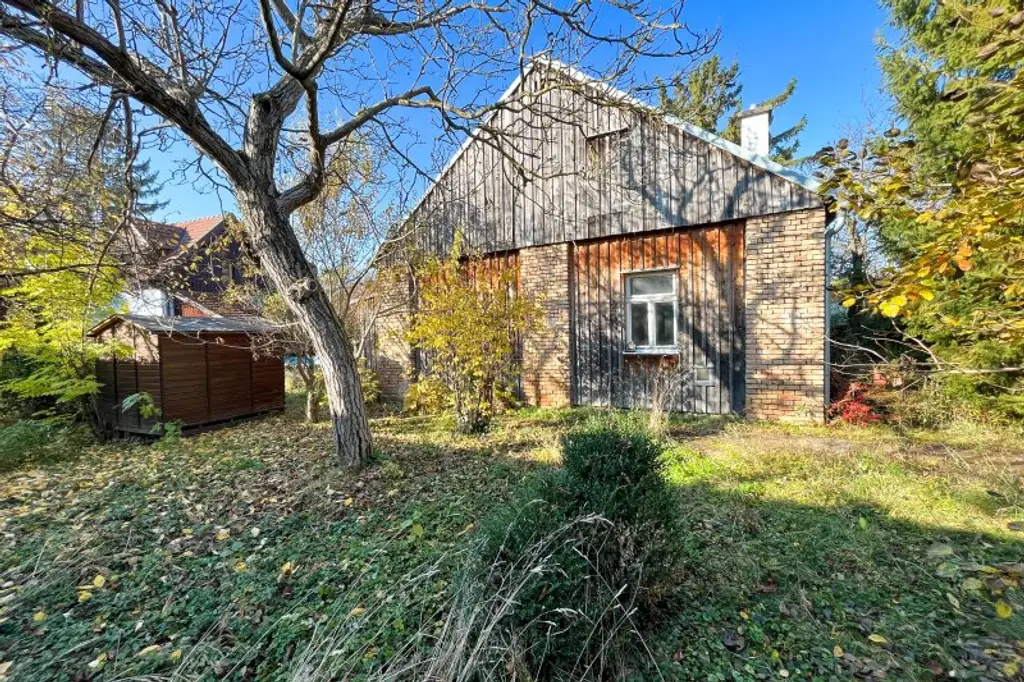 Entzückendes Wohnhaus mit vielseitigem Nebengebäude im nordöstlichen Weinviertel