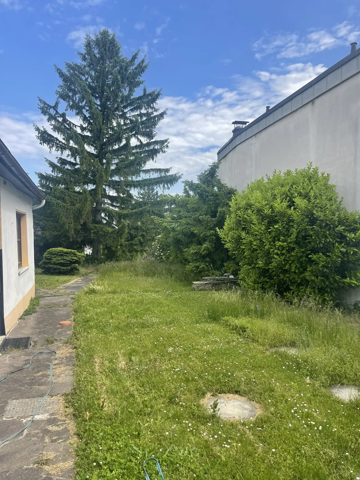 25 %  geschlossene Bauweise, Bauklasse II - keine Einschränkung auf Wohneinheiten