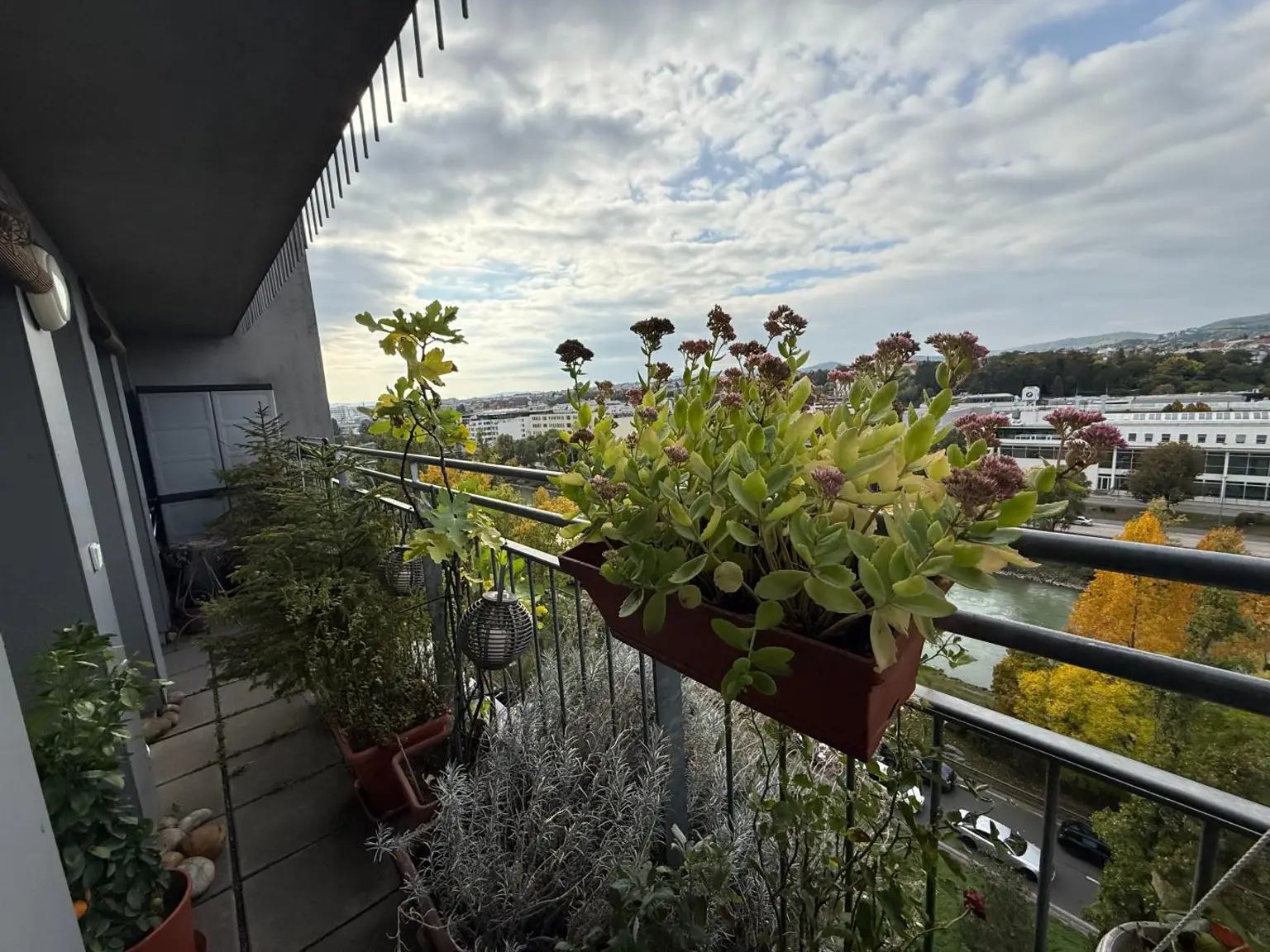"Oase Über der Donau - Fernblick auf die Weinberge!"