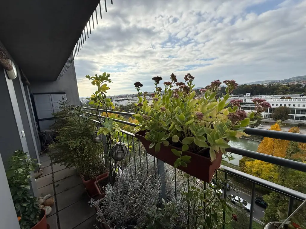 "Oase Über der Donau - Fernblick auf die Weinberge!"