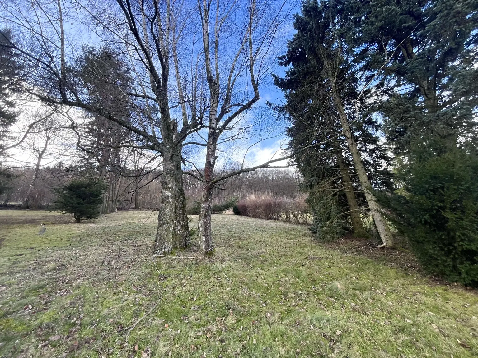Schönes Einfamilienhaus mit Gartenparadies
