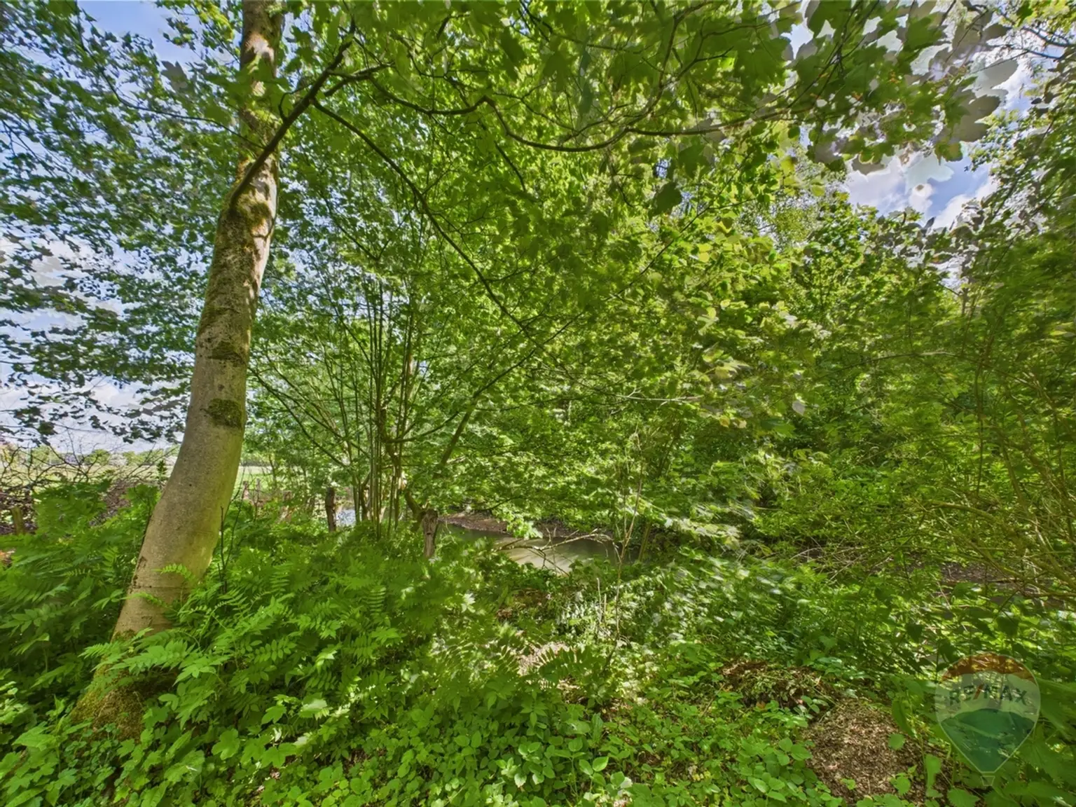 Fluss fließt am Grundstück vorbei