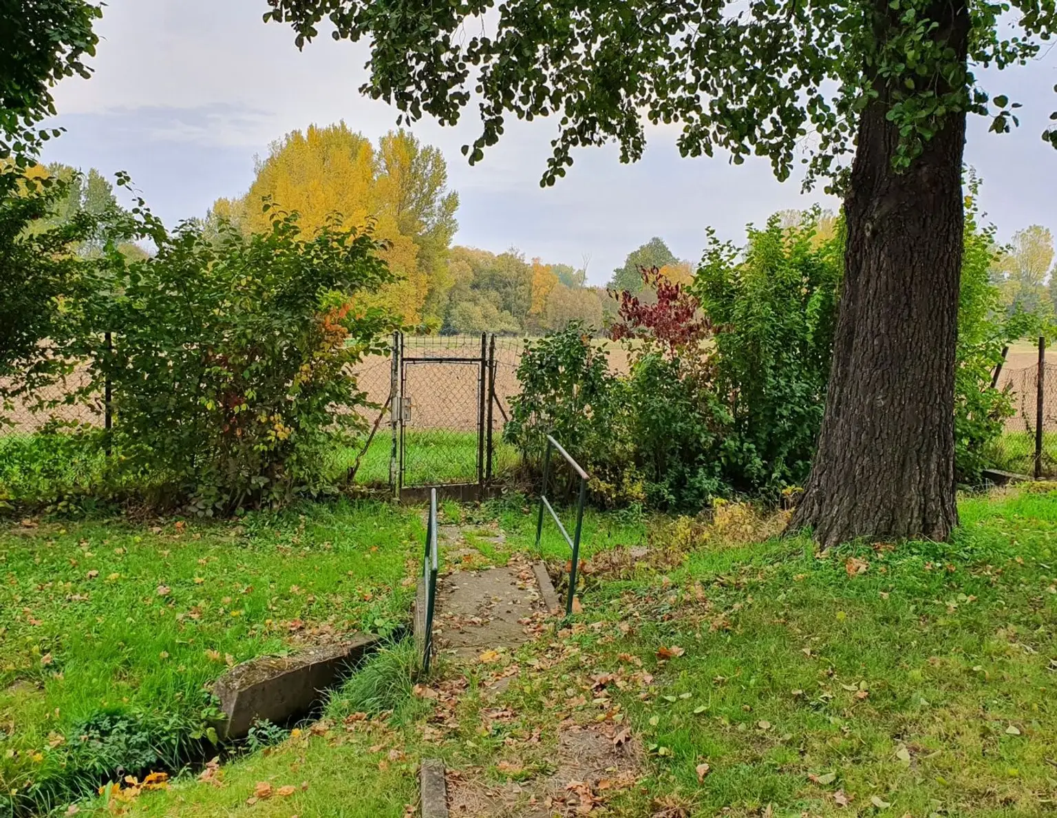Günstiger Baugrund - an MISTELBACHER Stadtgrenze mit Altbestand