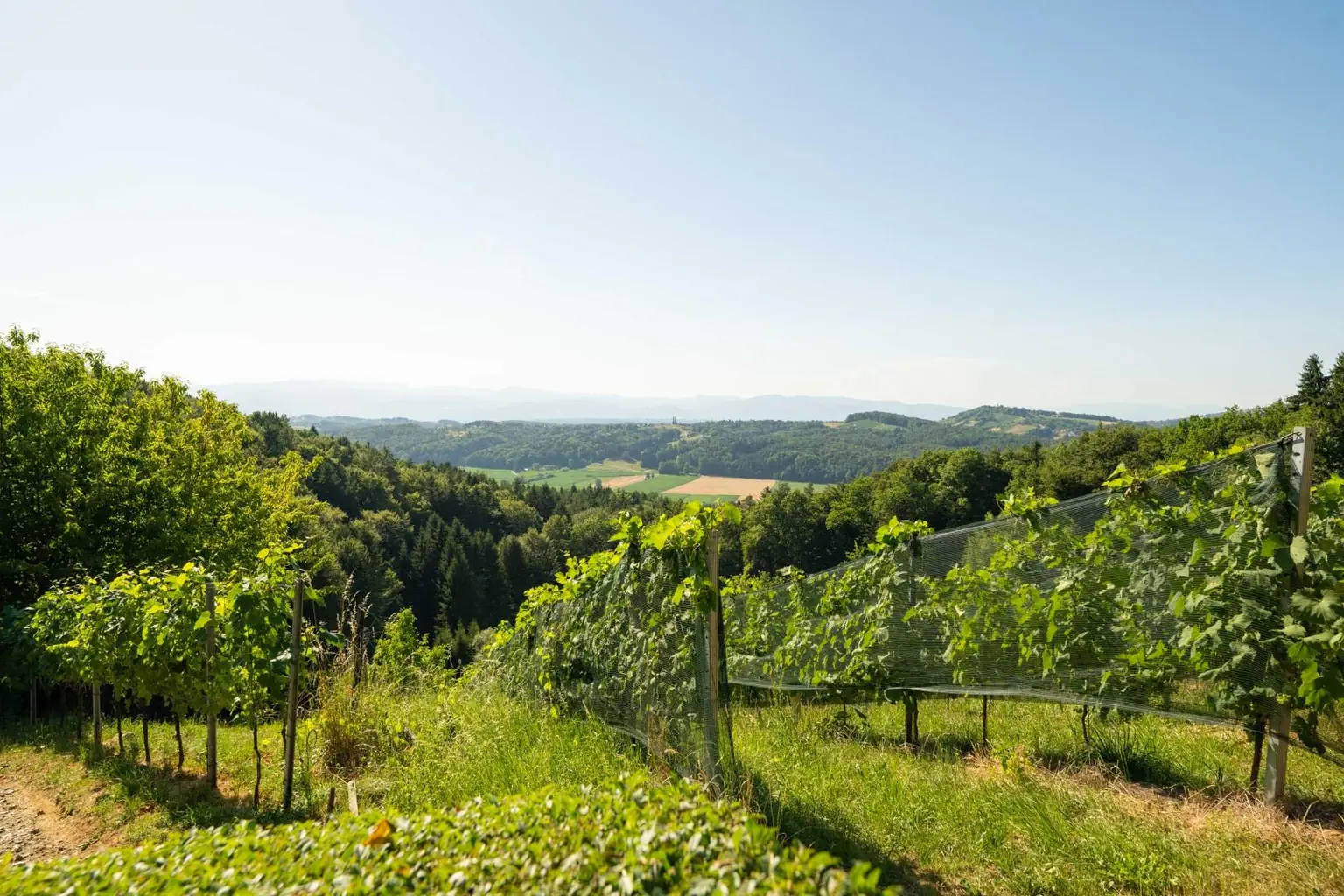 "Privates Paradies mit Panorama – 5 Hektar Freiheit & ein Zuhause zum Verlieben"
