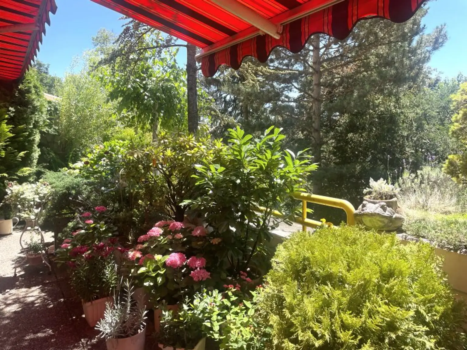 Neuwaldegger Terrassenwohnung mit Pool und Sauna Zugang