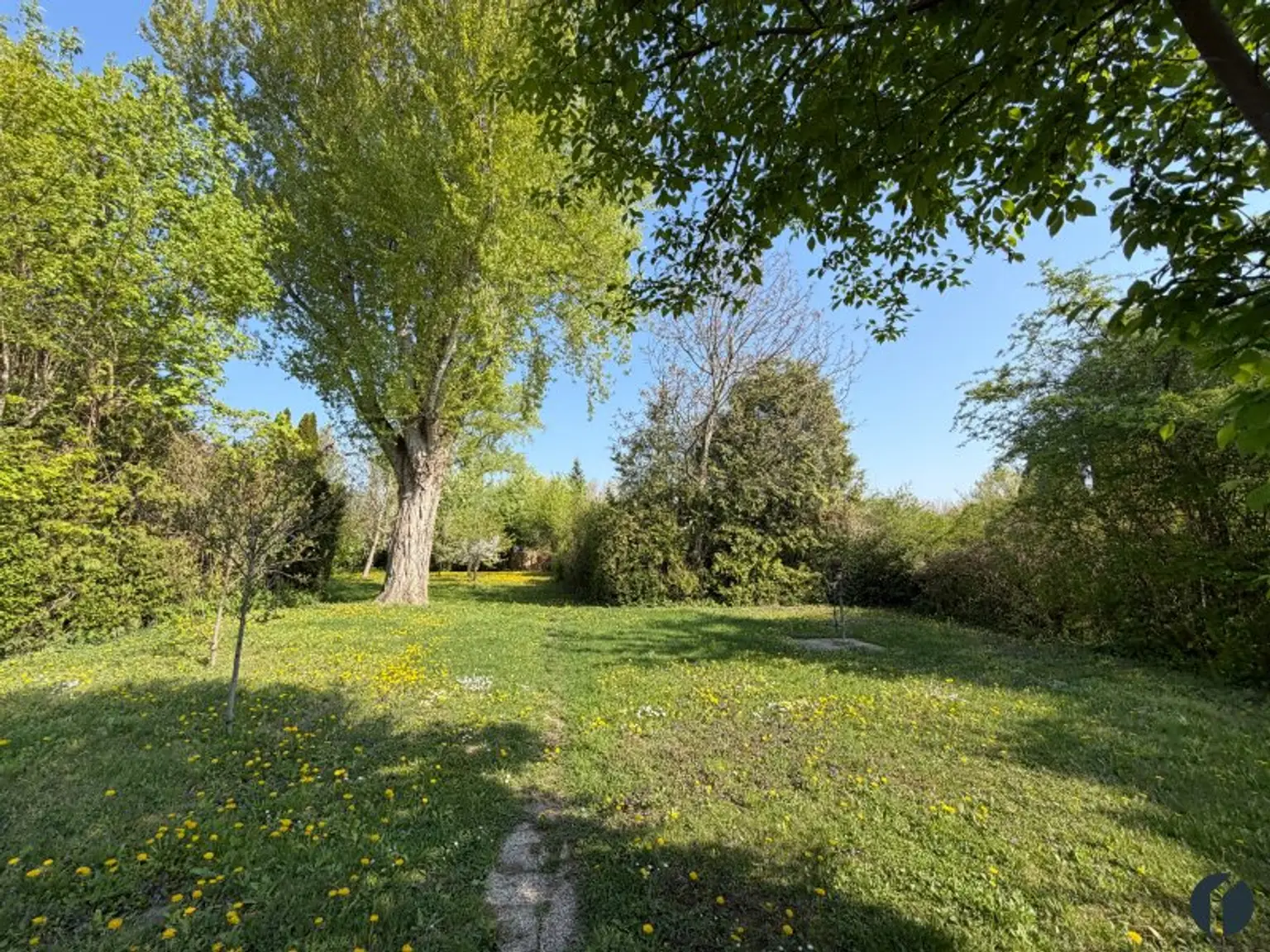 Naturrefugium an der Donau - Ihr Rückzugsort am linken Donauufer