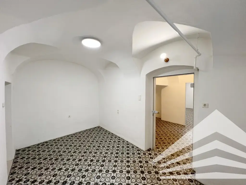 Schönes Gewölbe-Atelier in der Klammstrasse - sofort verfügbar!