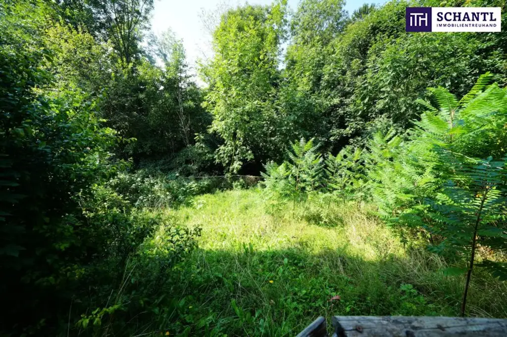 VERLASSENSCHAFT: Ihre große Chance auf ein Schnäppchen in grüner Ruhelage am Fuße des Schöckls!