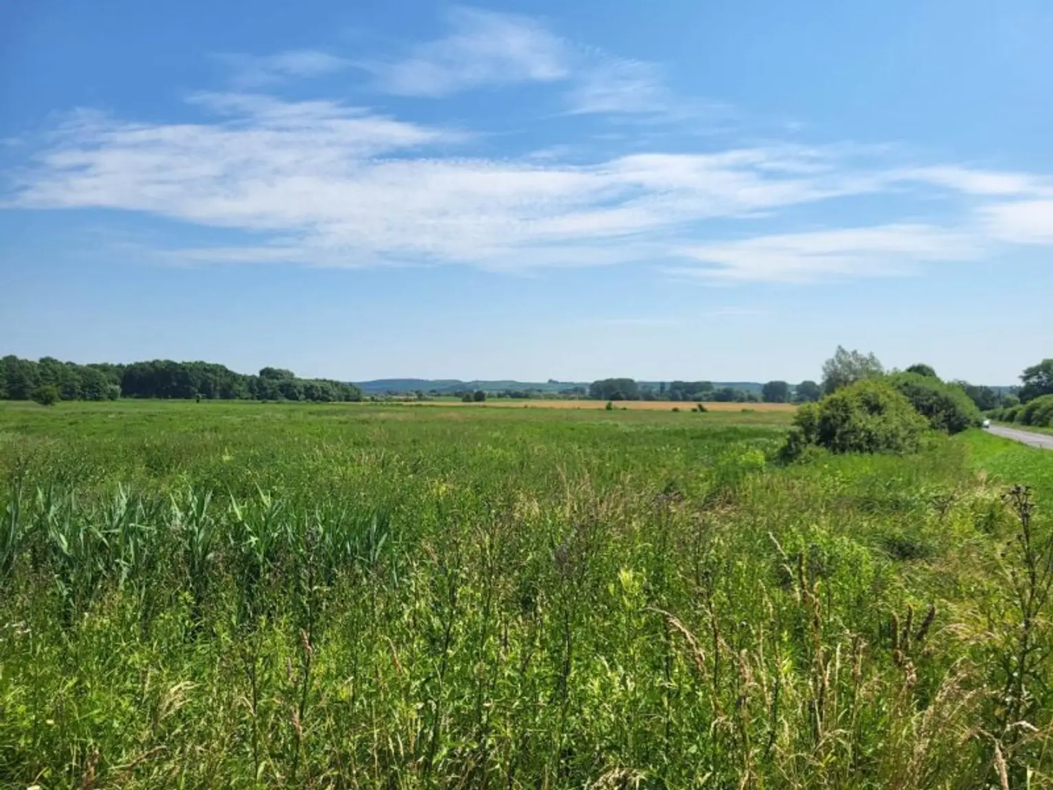 Somogysámson Übersicht, Strasse