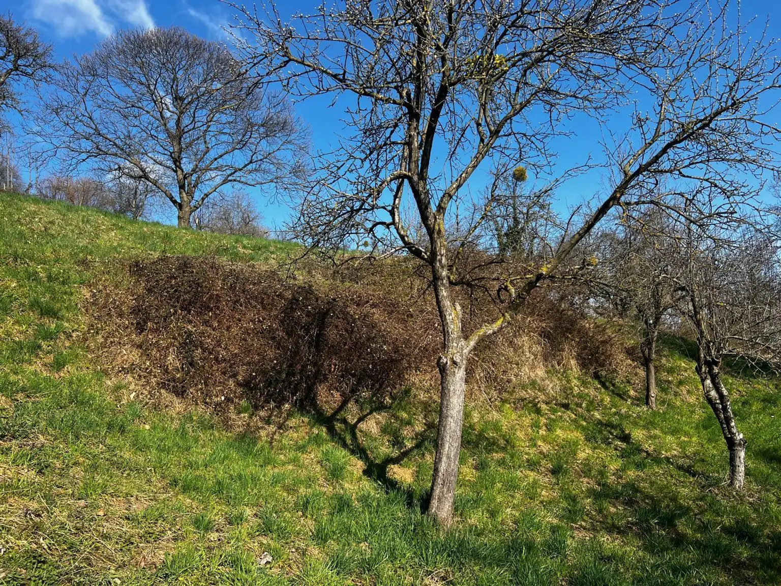 Untere Hanglage