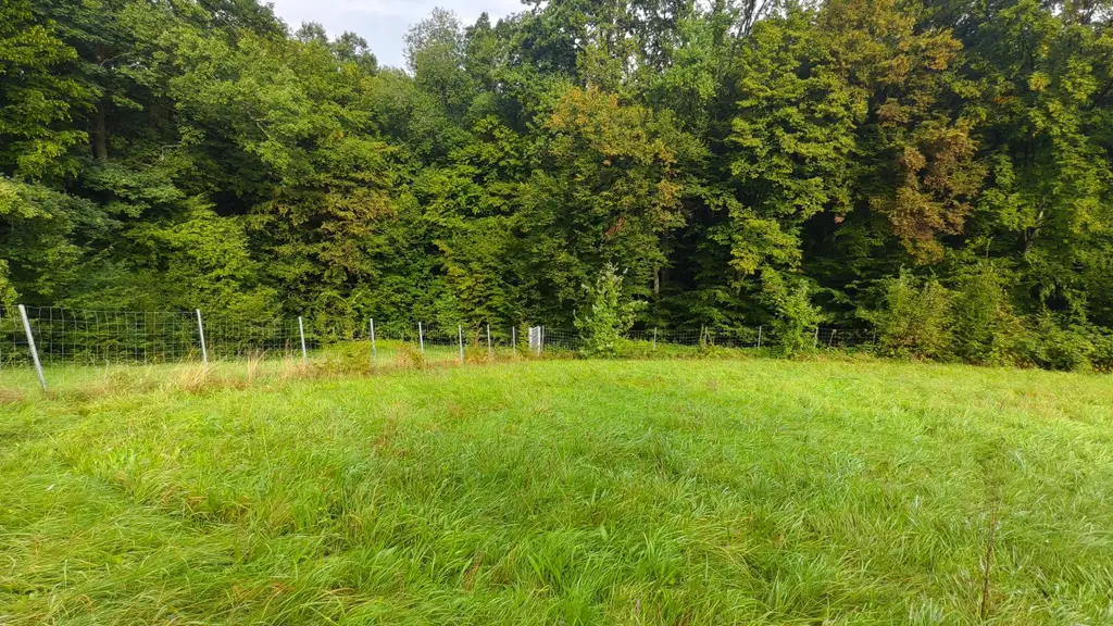 Grundstück sucht eine Familie mit Hausbauwunsch!