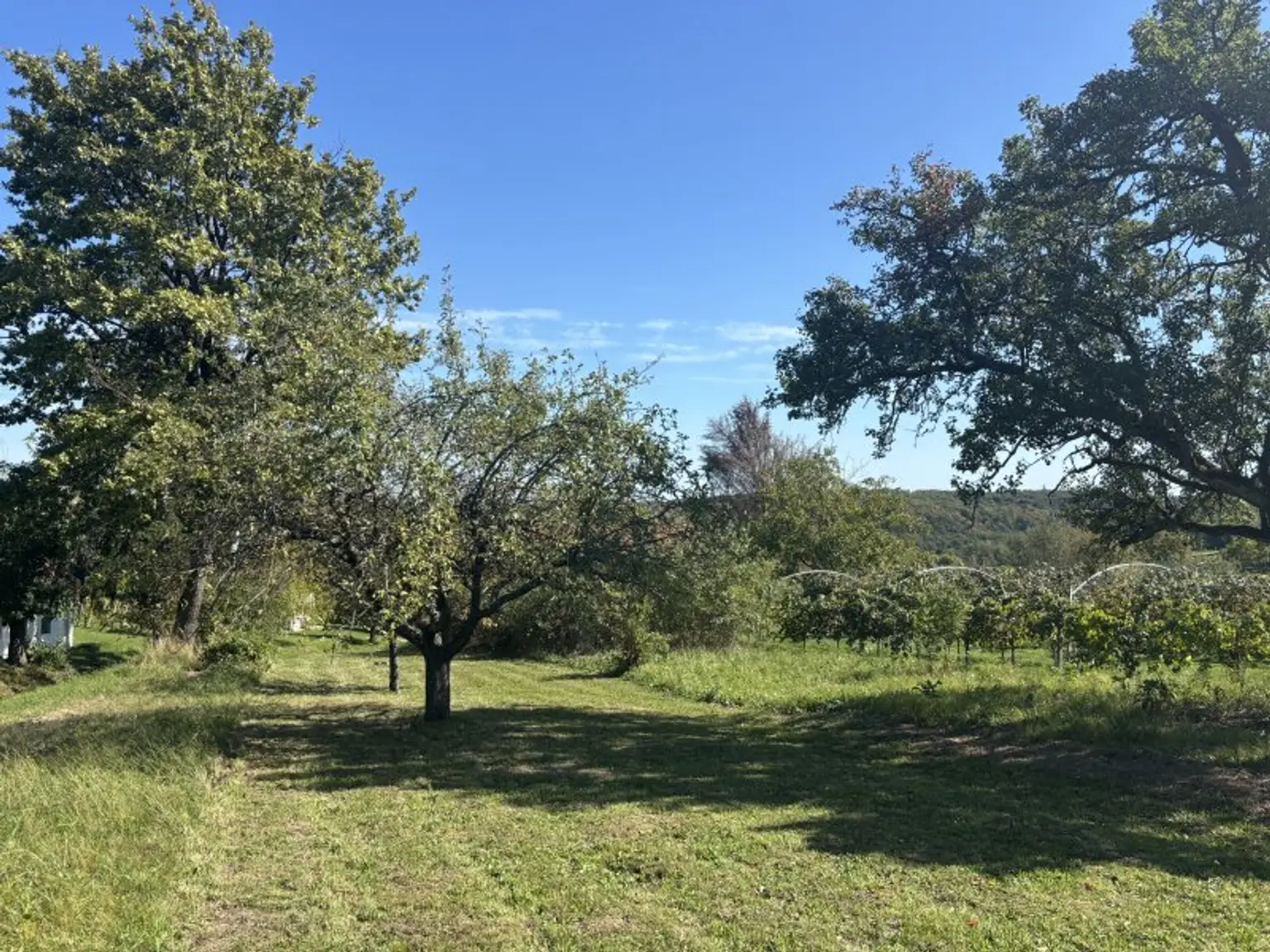- DER SONNE ENTGEGEN - Kellerstöckl mit entzückendem Grundstück am Stremer Berg !!