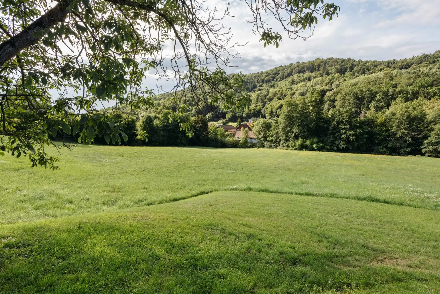 8054 Strassgang - Idyllische Liegenschaft zum Bauen, Pflanzen, Leben mit ca. 5000 m² und Altbestand in ruhiger Sackgassenlage