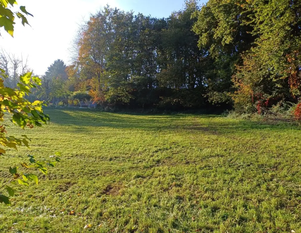 2 Grundstücke in Mehrnbach mit ca. 1000 m²