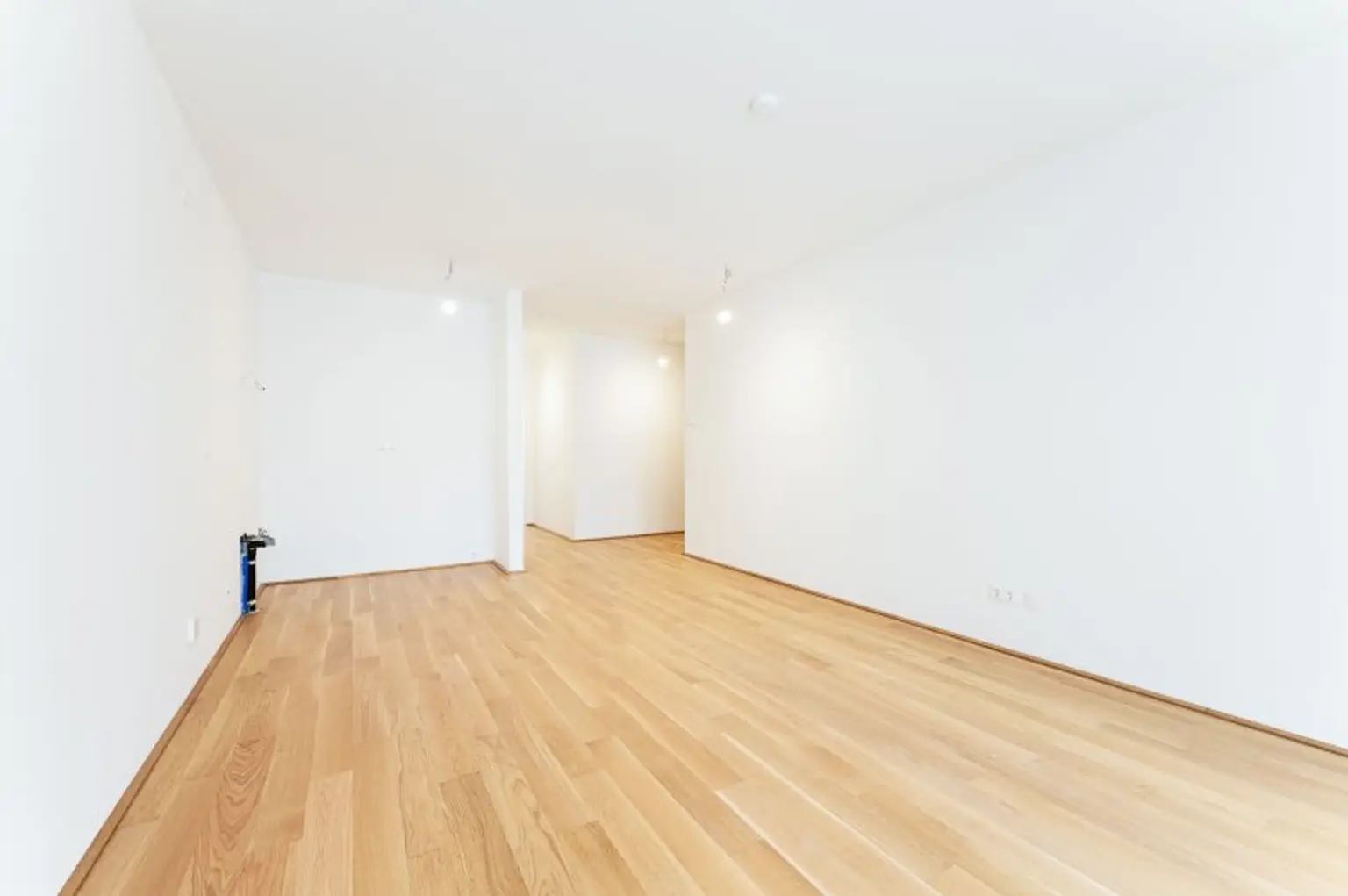 Erstbezug ab Dezember! 2-Zimmer-Loggiawohnung inkl. Stellplatz und Garten zu vermieten!