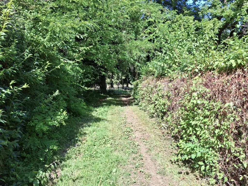 Grundstück für Freigeister in idyllischer Waldlage
