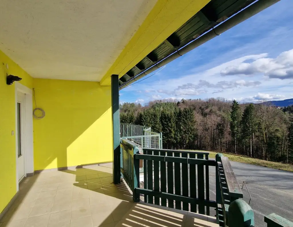 6 Wohnungen und Kellerflächen. NFL 444m²- absolute Ruhelage in der Weststeiermark-Fixpreis Schnäppchen