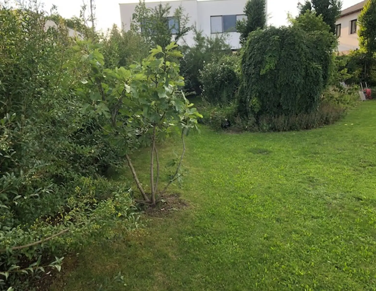 30 min nach Wien - Toplage in Kottingbrunn