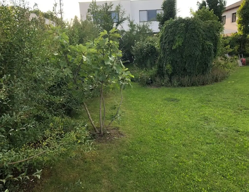 30 min nach Wien - Toplage in Kottingbrunn