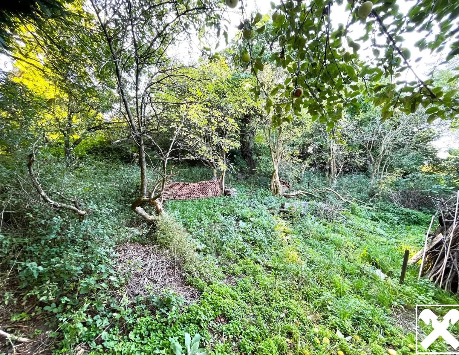 Natur pur! Grundstück mit Abrissobjekt!