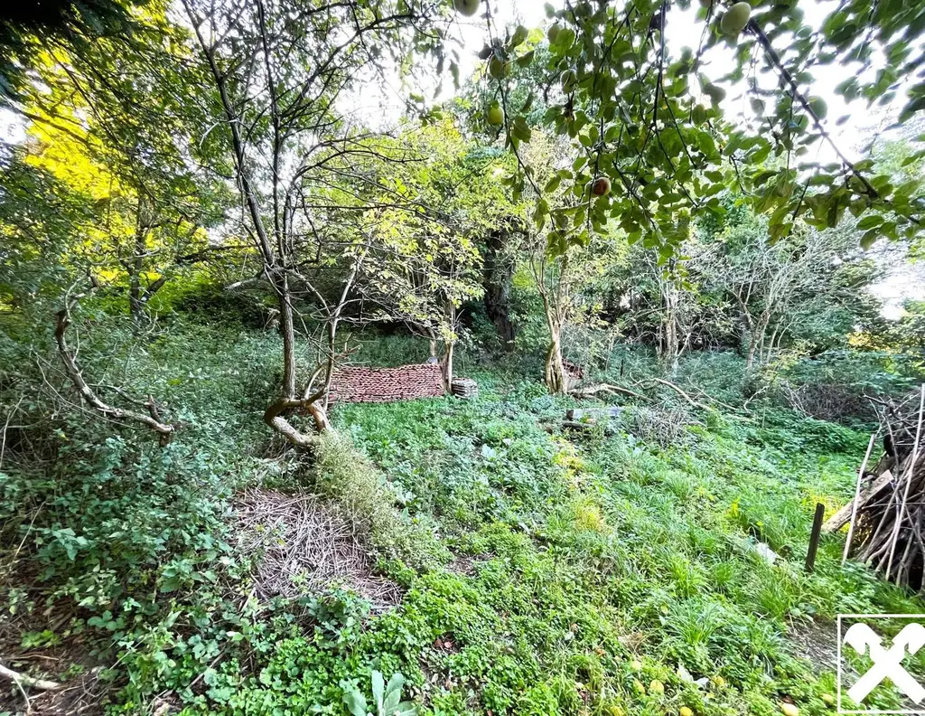 Natur pur! Grundstück mit Abrissobjekt!