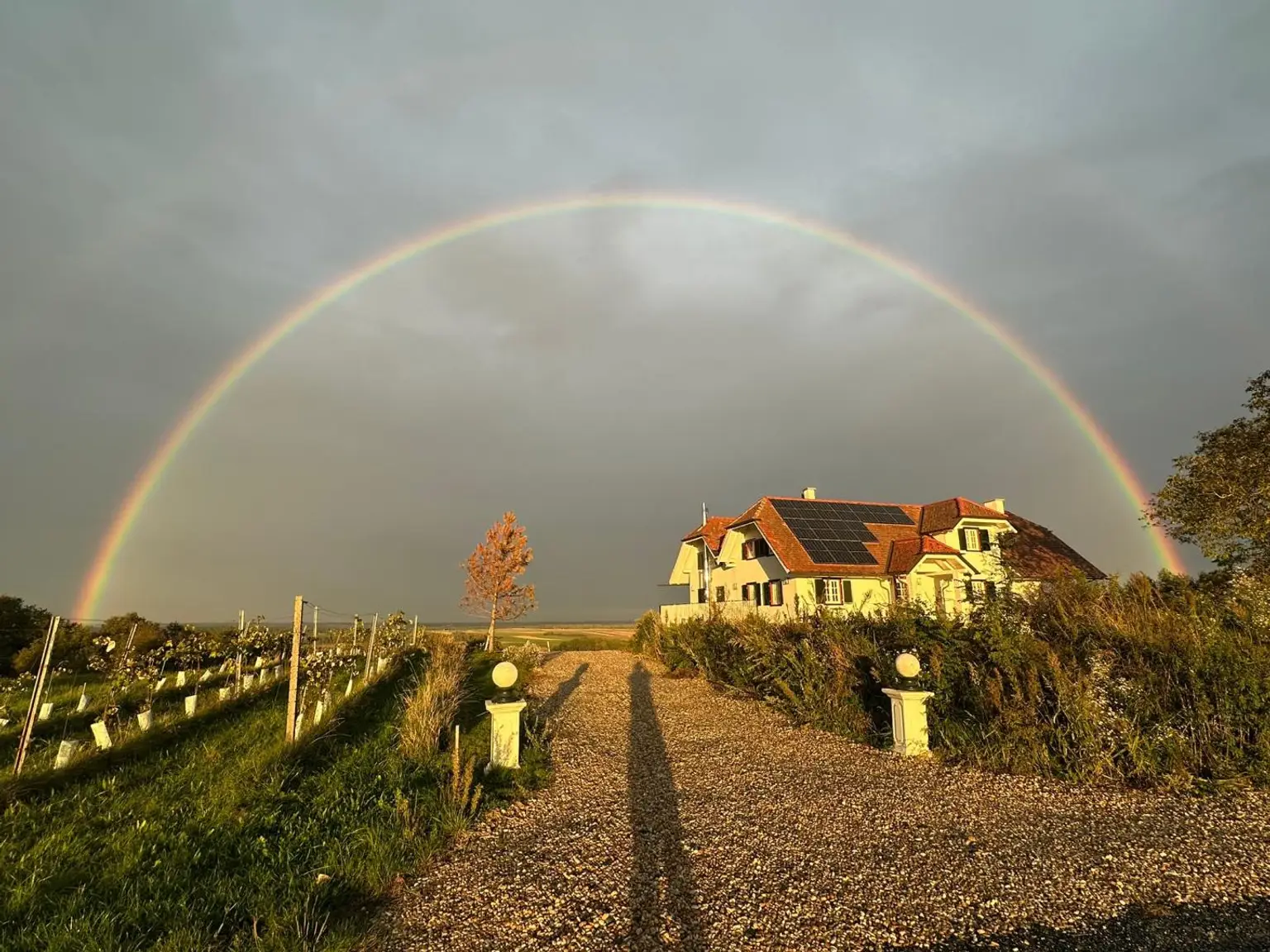 Exklusives Wohnen im Südburgenland – Traumvilla mit Panoramablick