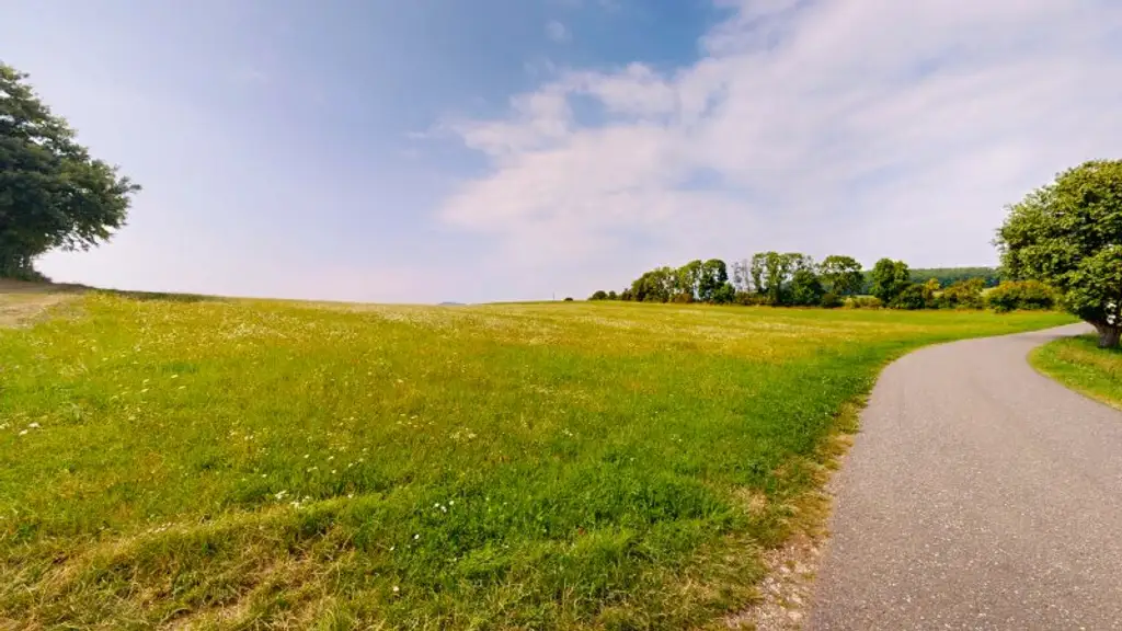 Grundstück mit Baumbestand für landwirtschaftliche Zwecke | 60.053 m² | Schwarzenbach in der Buckligen Welt