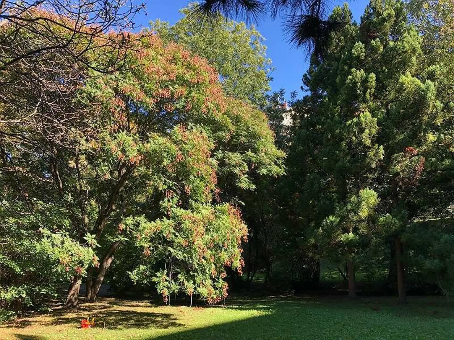 Döblinger Familientraum: 4-Zimmer-Wohnung mit viel Freifläche + Gartennutzung!