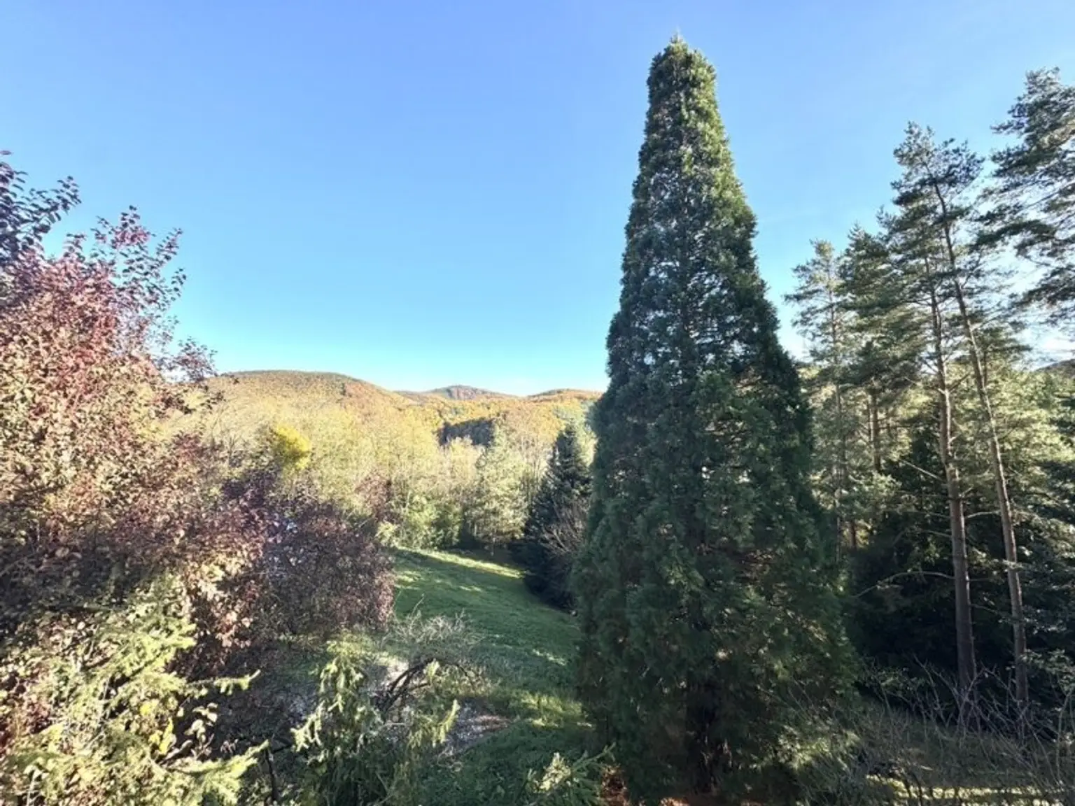 Beletage in Waldrandlage, große Terrasse, Gartennutzung, Carport, energieeffizient, Grünblick