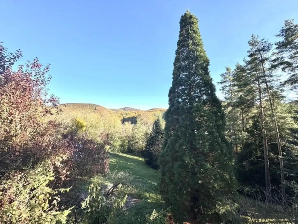 Beletage in Waldrandlage, große Terrasse, Gartennutzung, Carport, energieeffizient, Grünblick