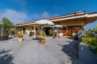 Haus-Icod-de-Los-Vinos-xxx-Teneriffa-3